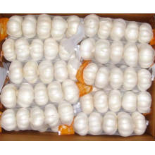 2015 New Crop Kleine Mesh Bag Verpackung Pure White Knoblauch
